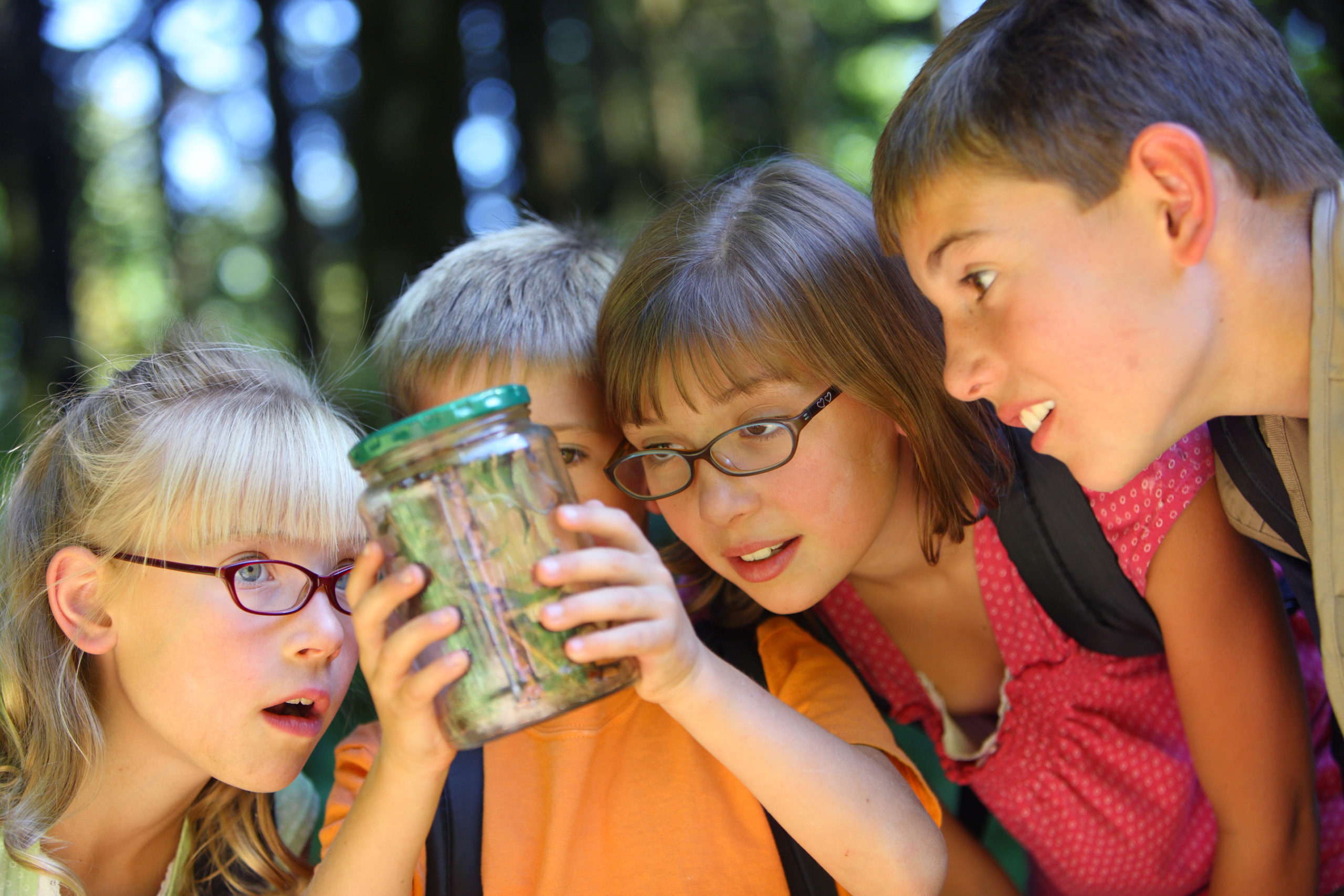  Four young summer campers are outside looking at bugs within a glass jar. 
